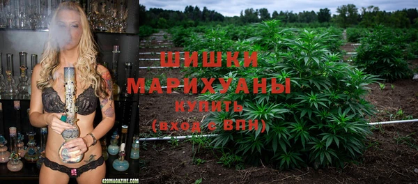 бутират Дмитриев
