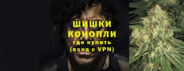 ГАЛЛЮЦИНОГЕННЫЕ ГРИБЫ Дмитровск
