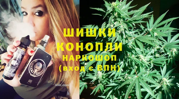 ГАЛЛЮЦИНОГЕННЫЕ ГРИБЫ Дмитровск