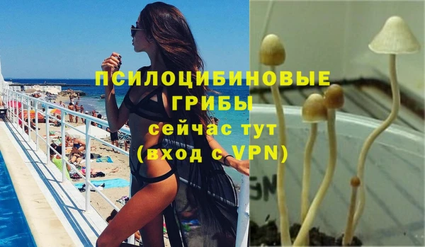 ГАЛЛЮЦИНОГЕННЫЕ ГРИБЫ Дмитровск