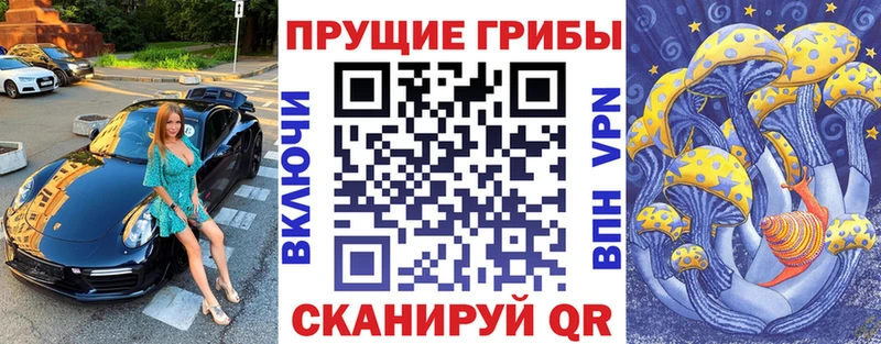 Псилоцибиновые грибы прущие грибы Заволжье